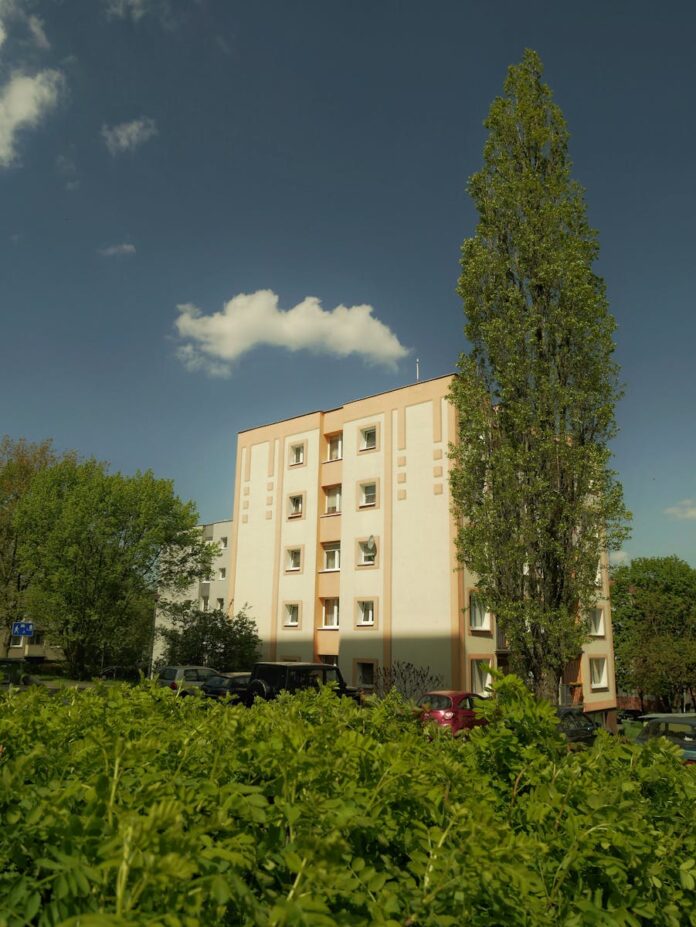 Jakie czynniki wpływają na rozwój małych firm w Ełku?